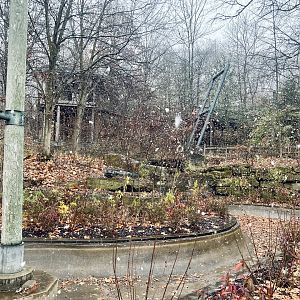 Summertime Alligator Exhibit? No I a