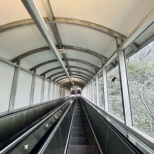 Escalator from Zoo Entrance to Parking Lot