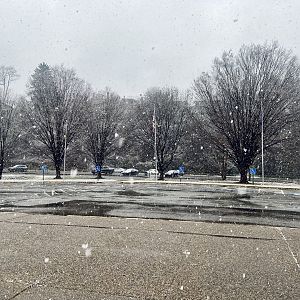 Zoo Parking Lot - Midday