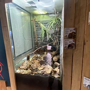 Bugs at Home - Mixed exhibit 161222