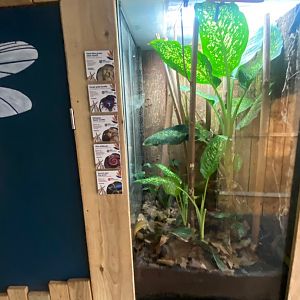 Bugs at Home - Mixed exhibit 161222