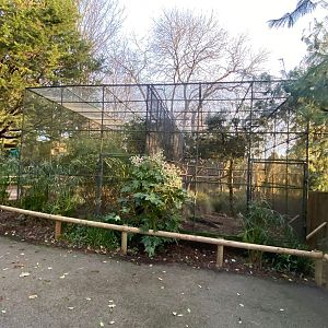 Aviaries 161222