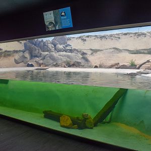 Penguin Enclosure