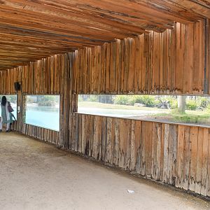 Saltwater Crocodile Enclosure