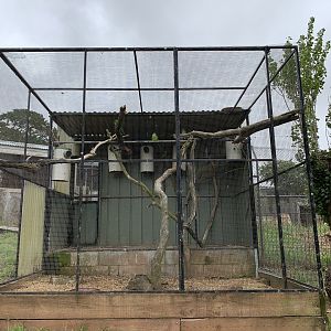 Superb Parrot Aviary