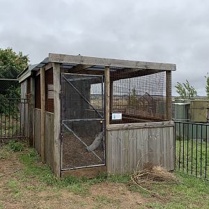 Quokka Enclosure