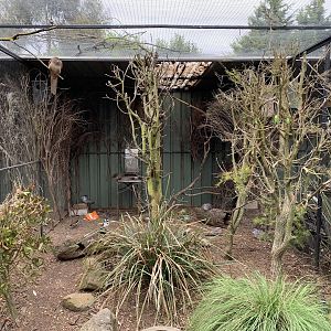 Australian Bush Bird Aviary