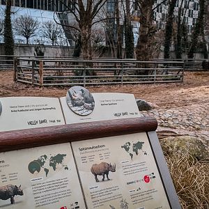 Two rhino  species in the already small enclsure