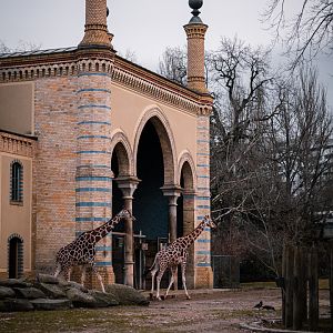 Antilopenhaus outside