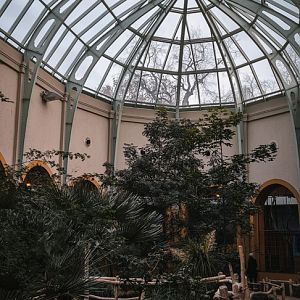 Antilopenhaus inside