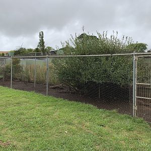 Egyptian Goose Enclosure