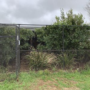 Bettong Enclosure