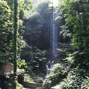 [CLOSED] Waterfall Aviary