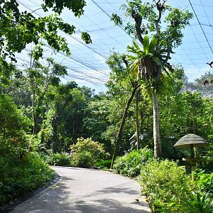 [CLOSED] Waterfall Aviary