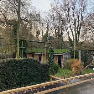 Marabou aviary 161222