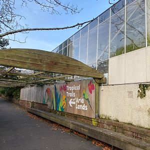 View towards Tropical Trails 161222