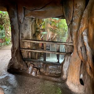 Tropical Trails - waterfall 161222