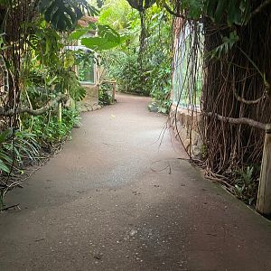 Tropical Trails 161222