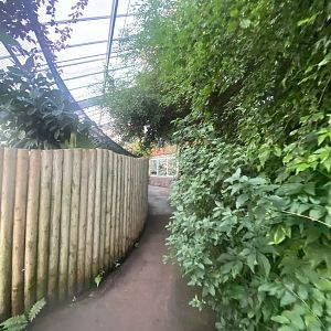 Tropical Trails 161222