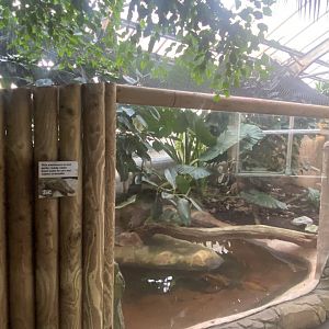 Tropical Trails - empty exhibit 161222