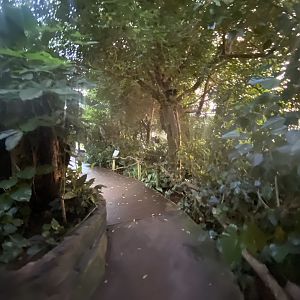 Tropical Trails 161222