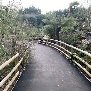 New walkway towards exit 161222