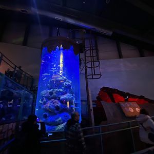 Red Sea Wreck 070123