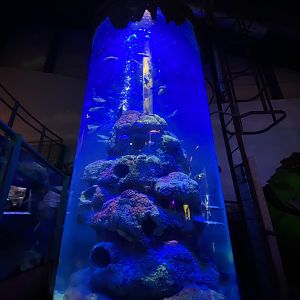 Red Sea Wreck 070123