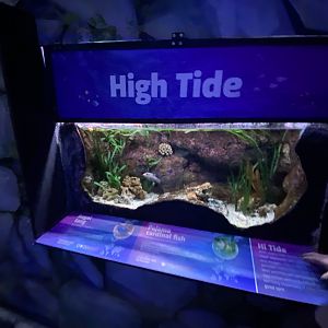 High Tide exhibit 070123