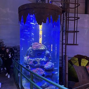 Red Sea Wreck 070123