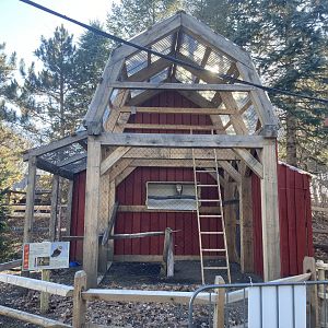 New Barn Owl Exhibit