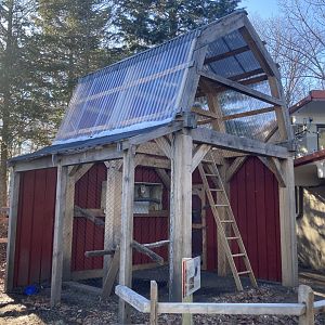 New Barn Owl Exhibit