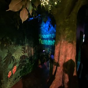 Piranha Tunnel 070123