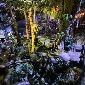 Scenery near Amazon section 070123