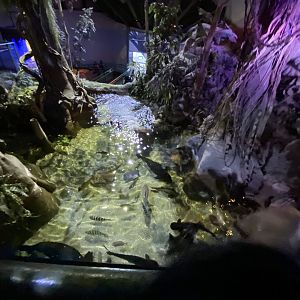 Amazon exhibit 070123