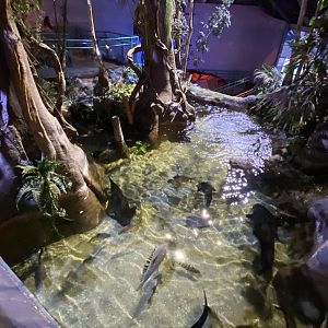 Amazon exhibit 070123