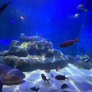 360 Tunnel view 070123