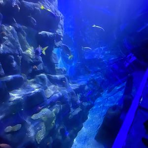 360 Tunnel view 070123