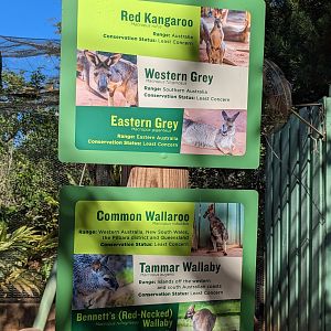Kangaroo Walkabout  - signage
