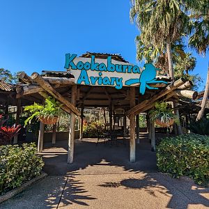 Kookaburra Aviary