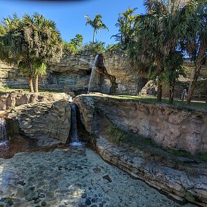 Jungala - Tiger habitat