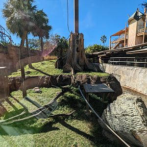 Jungala - Orangutan habtiat