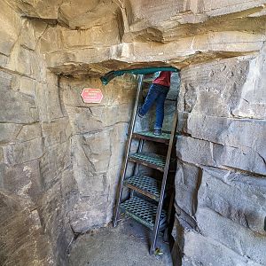 Jungala - tiger viewing