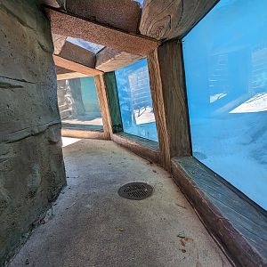Jungala - tiger viewing under water