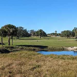 Serengeti Plains (train ride) -  overview of plains