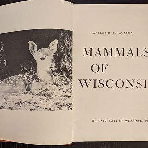 Mammals of Wisconsin