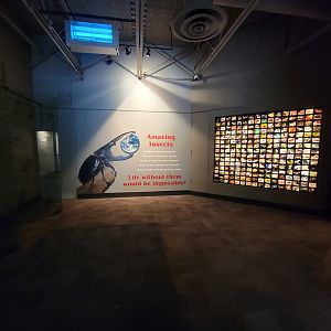 Cincinnati 5/22 - World of Insects, inside entrance