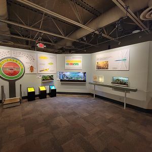 Cincinnati 5/22 - World of Insects, Numbers & Mass