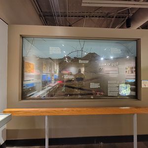 Cincinnati 5/22 - World of Insects, naked mole-rats