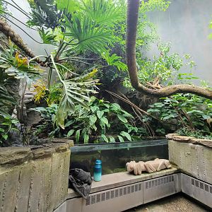 Cincinnati 5/22 - World of Insects, Butterfly walkthrough